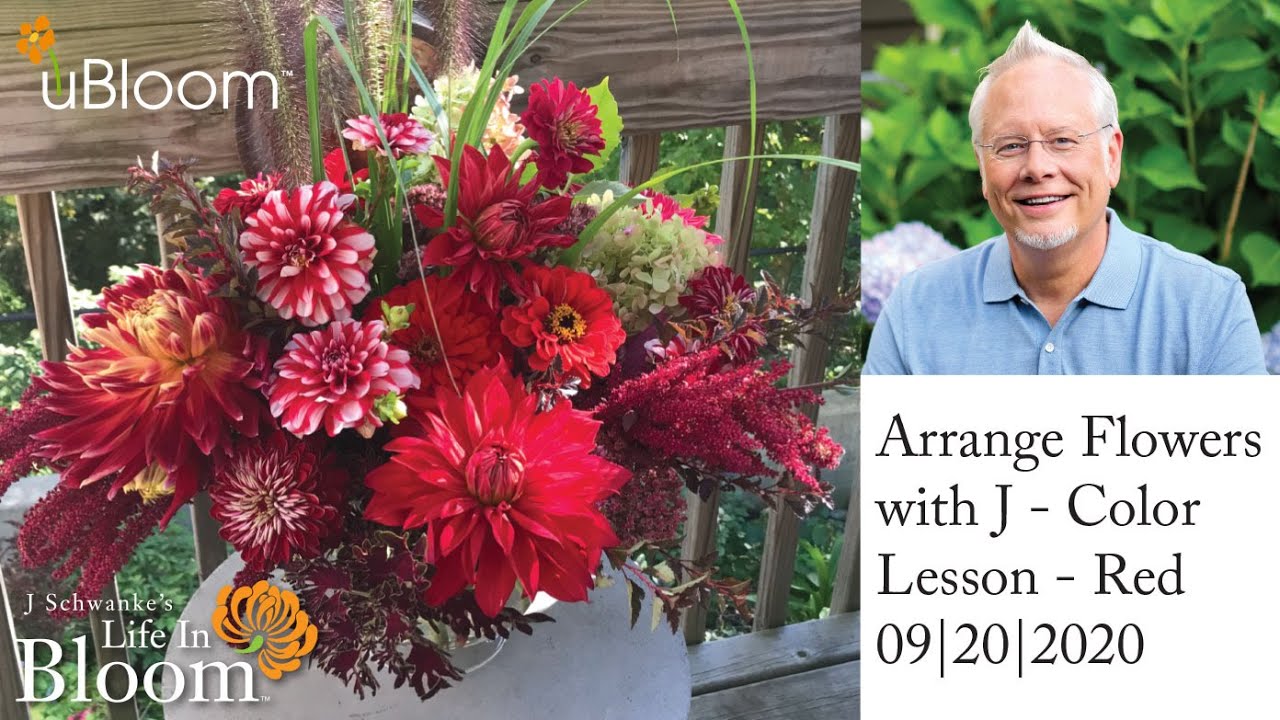 Arrange Flowers with J- Color Lesson- RED