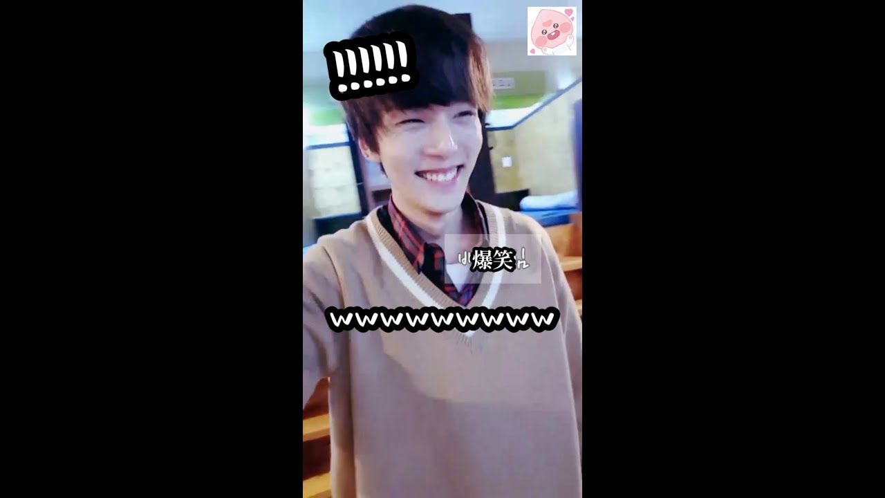 🐻🐹に遭遇するミニョク〘日本語字幕〙MONSTAX