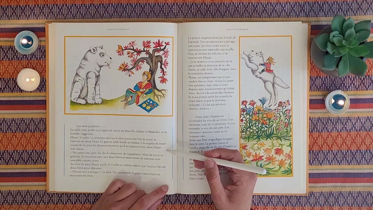ASMR - Whispering in French - Contes d'orient 📖