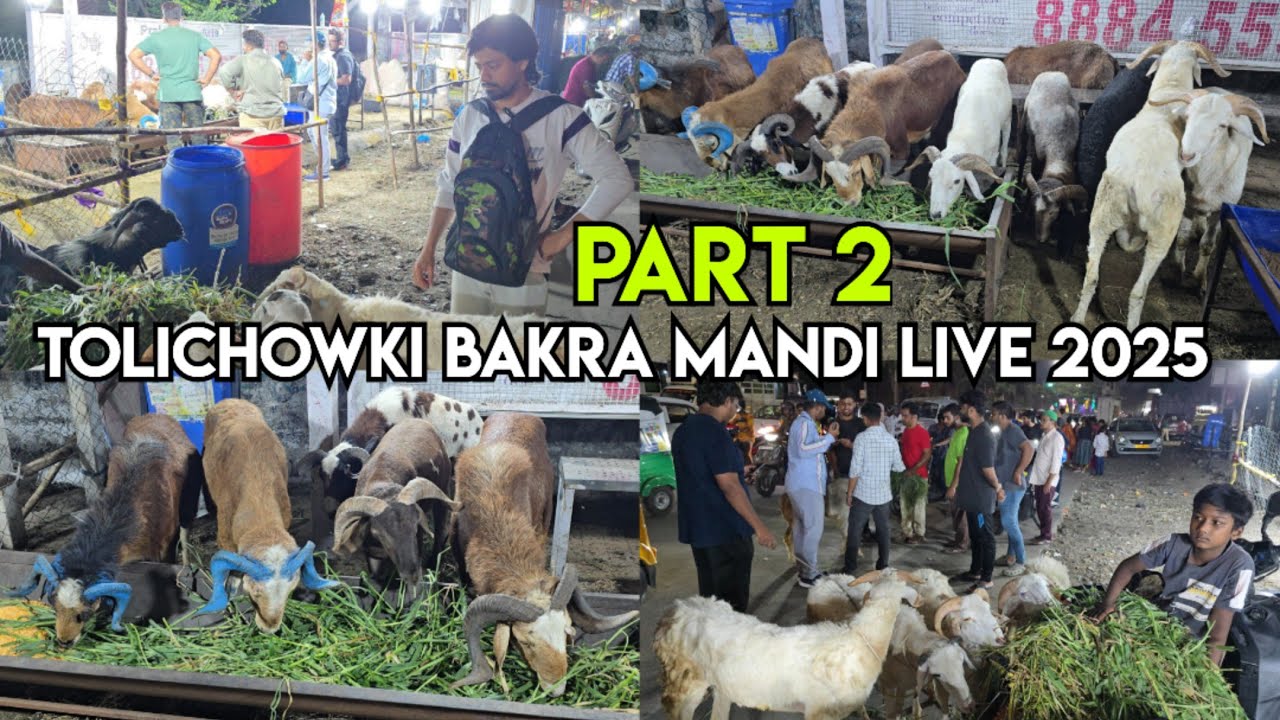 Tolichowki bakra mandi live 2025 part 2 | qurbani ke bakre in Tolichowki goat market Hyderabad