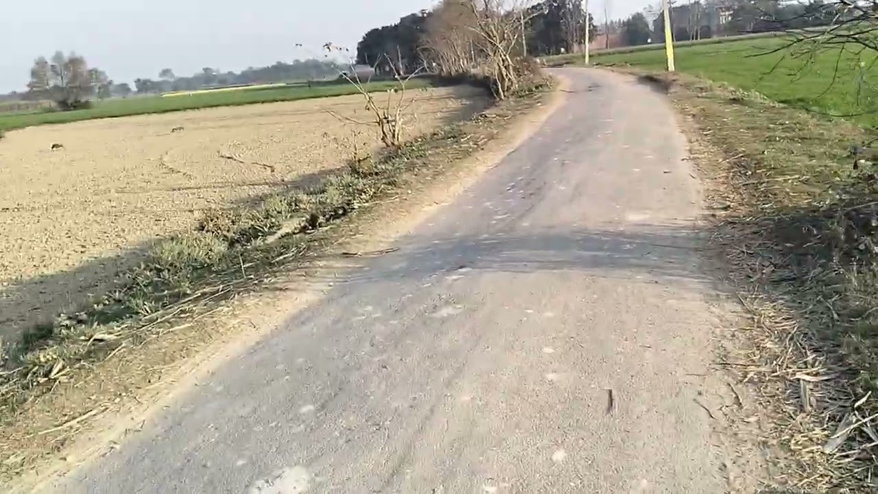 100 बीघा जमीन बिकाऊ है सस्ती जमीन जिस भाई को लेना संपर्क करें 8090291079