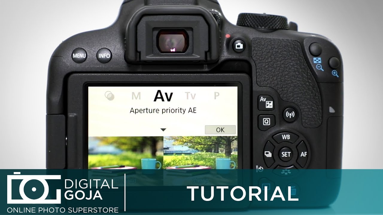 Canon EOS Rebel T7i Tutorial | New Photo Assist Feature