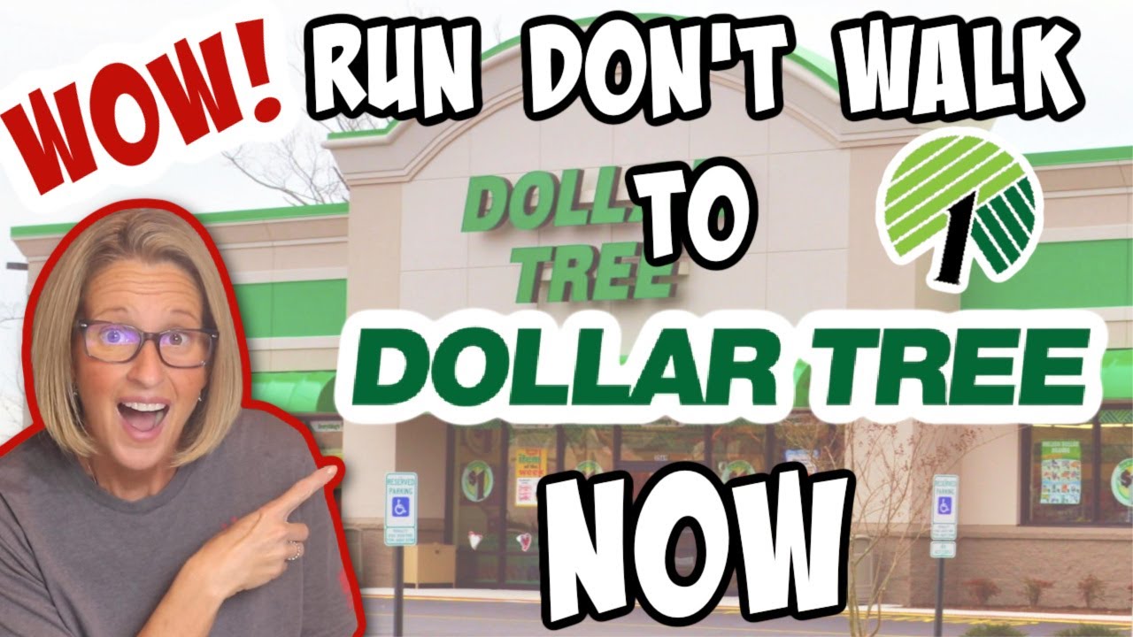 RUN DON'T WALK to Dollar Tree NOW! AMAZING August FINDS!