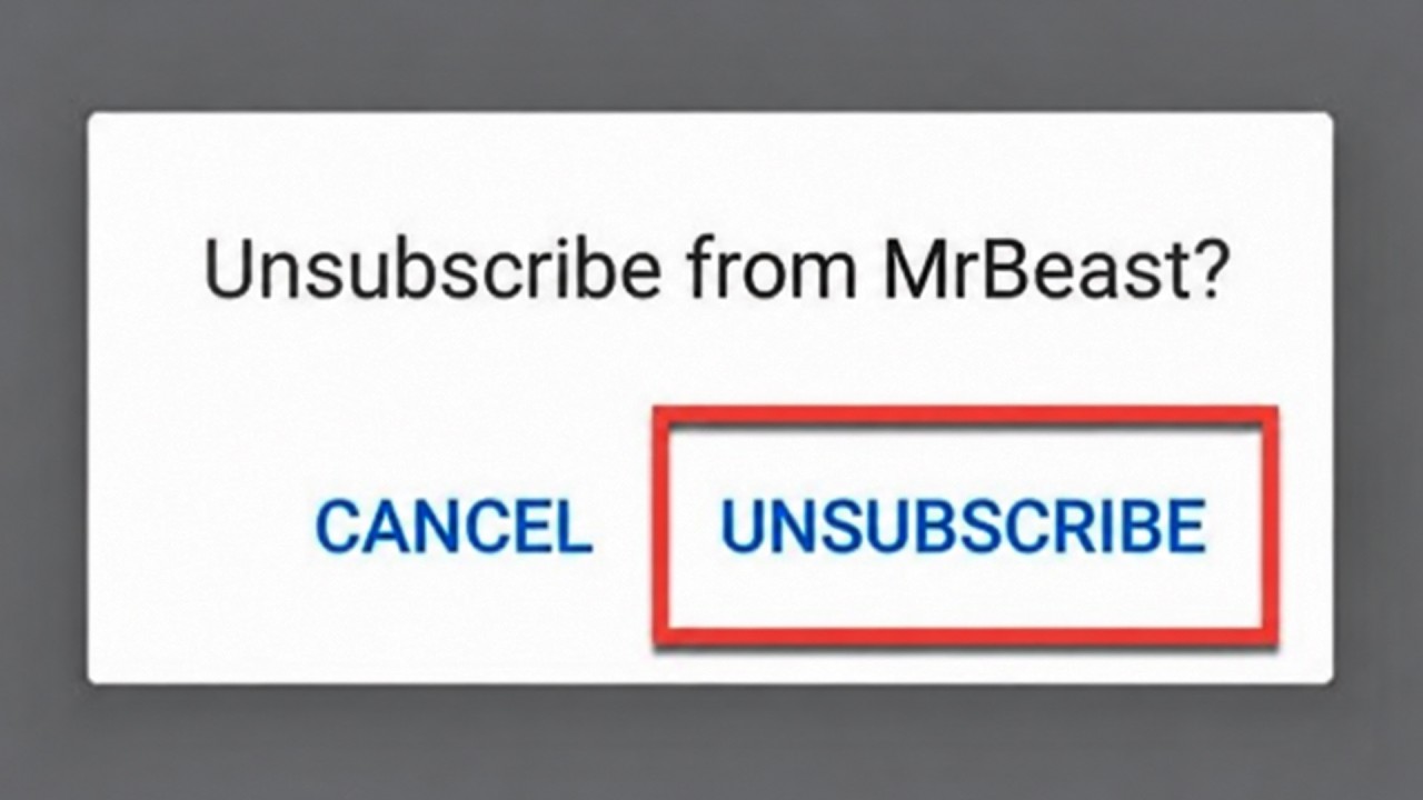 Youtubers when you unsubscribe: