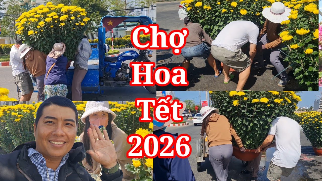Không khí chợ hoa tết 2026 Tuy Hòa Phú Yên bán hoa cúc rất nhiều người mua hoa tết