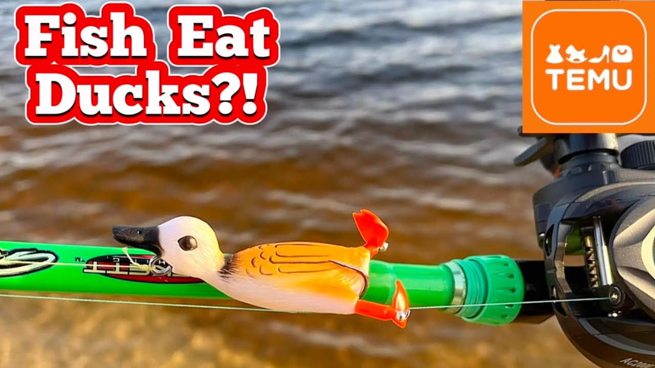 DUCK fishing lure from Temu! (Does it work?)