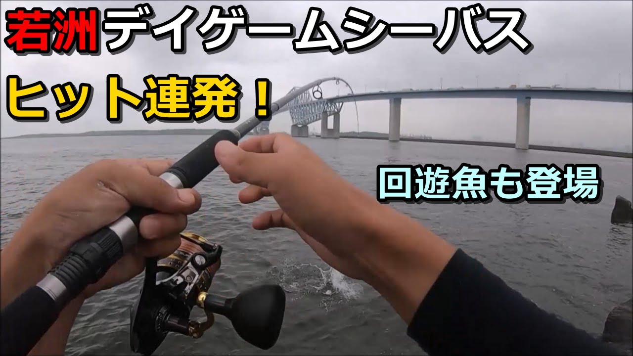 【若洲海浜公園】人工磯でデイゲームシーバス＆ショアジギングしてみたらヒット連発で活性高すぎ！回遊魚も入ってました
