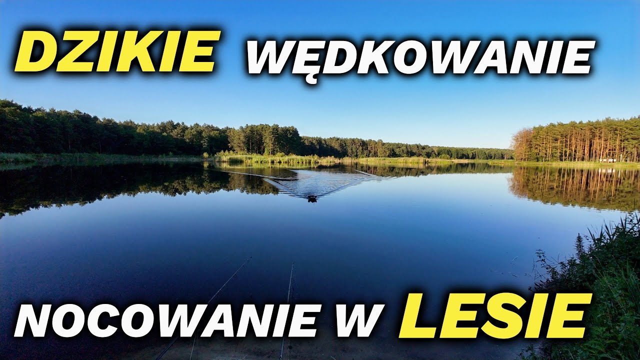 NOCOWANIE nad jeziorem w lesie [RODZINNY WYPAD]