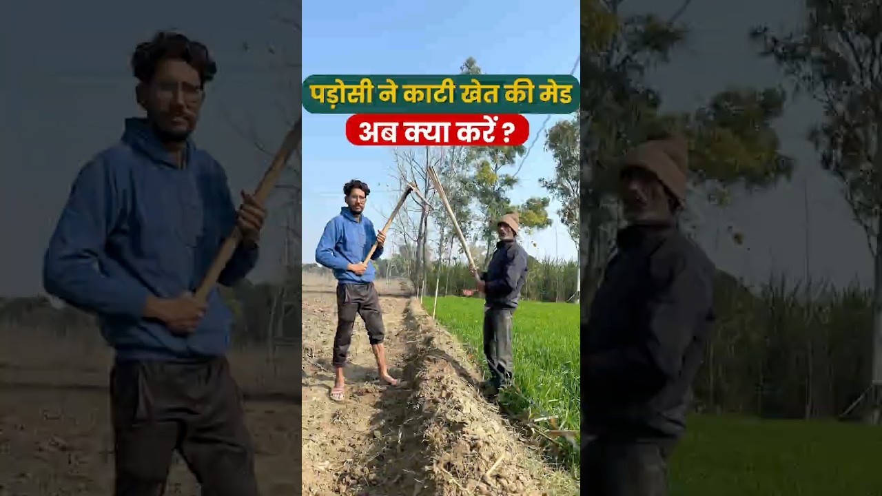 पड़ोसी ने काटी खेत की मेड अब क्या करें  #0118गन्नापेड़ी #naturalfarming #spraymachine #0118गन्नापेड़