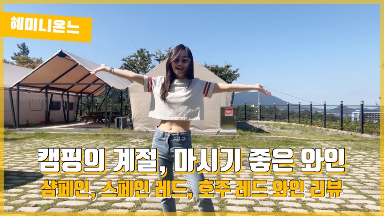 [와인리뷰] 캠핑하러 와서 와인리뷰! |롯데마트 와인리뷰 | 레드 와인 어떤게 좋을까?