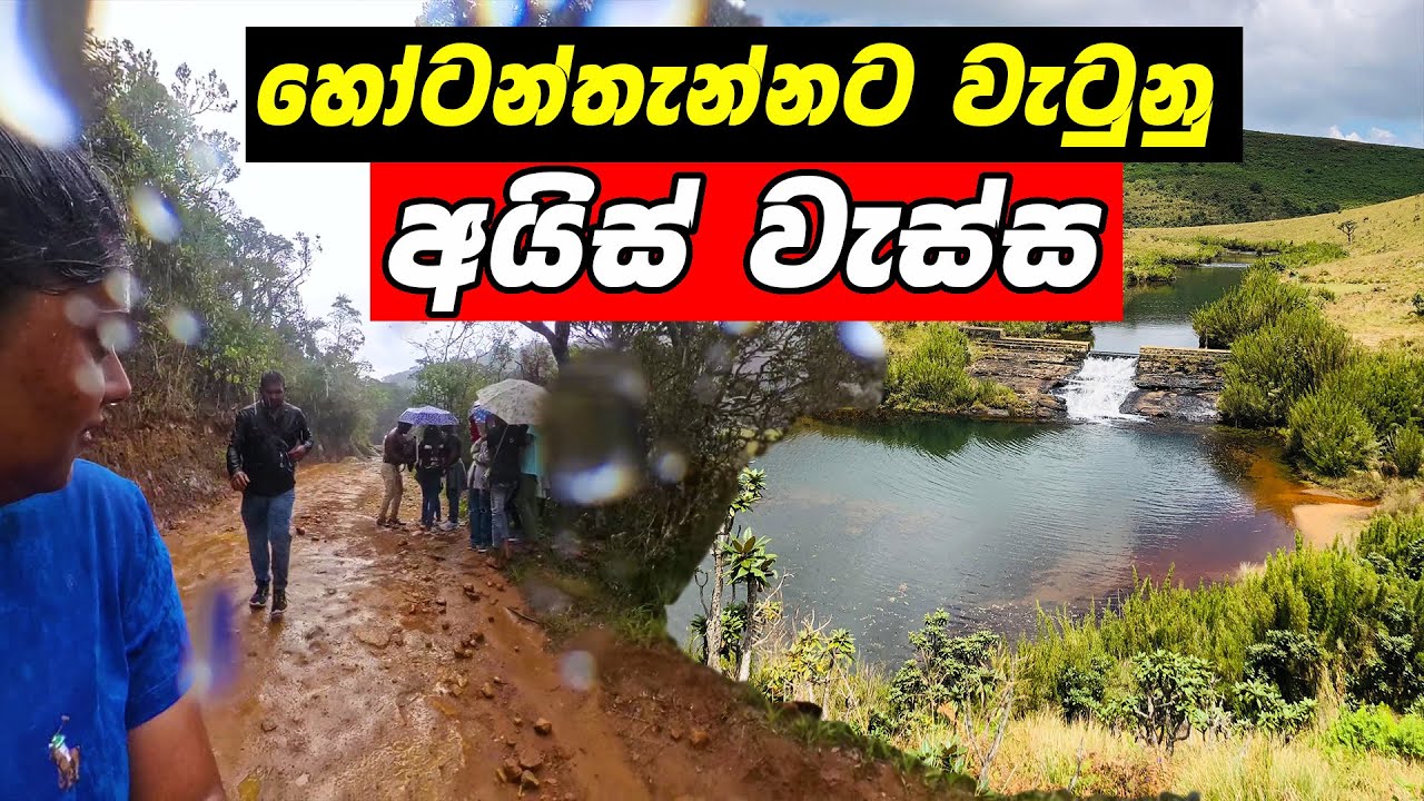 මේ මොකක්ද අපිට වුණේ? සීතලේ ගැහී ගැහී ඉදිරියටම Horton Plains Sri Lanka Visiting places in Nuwaraeliya
