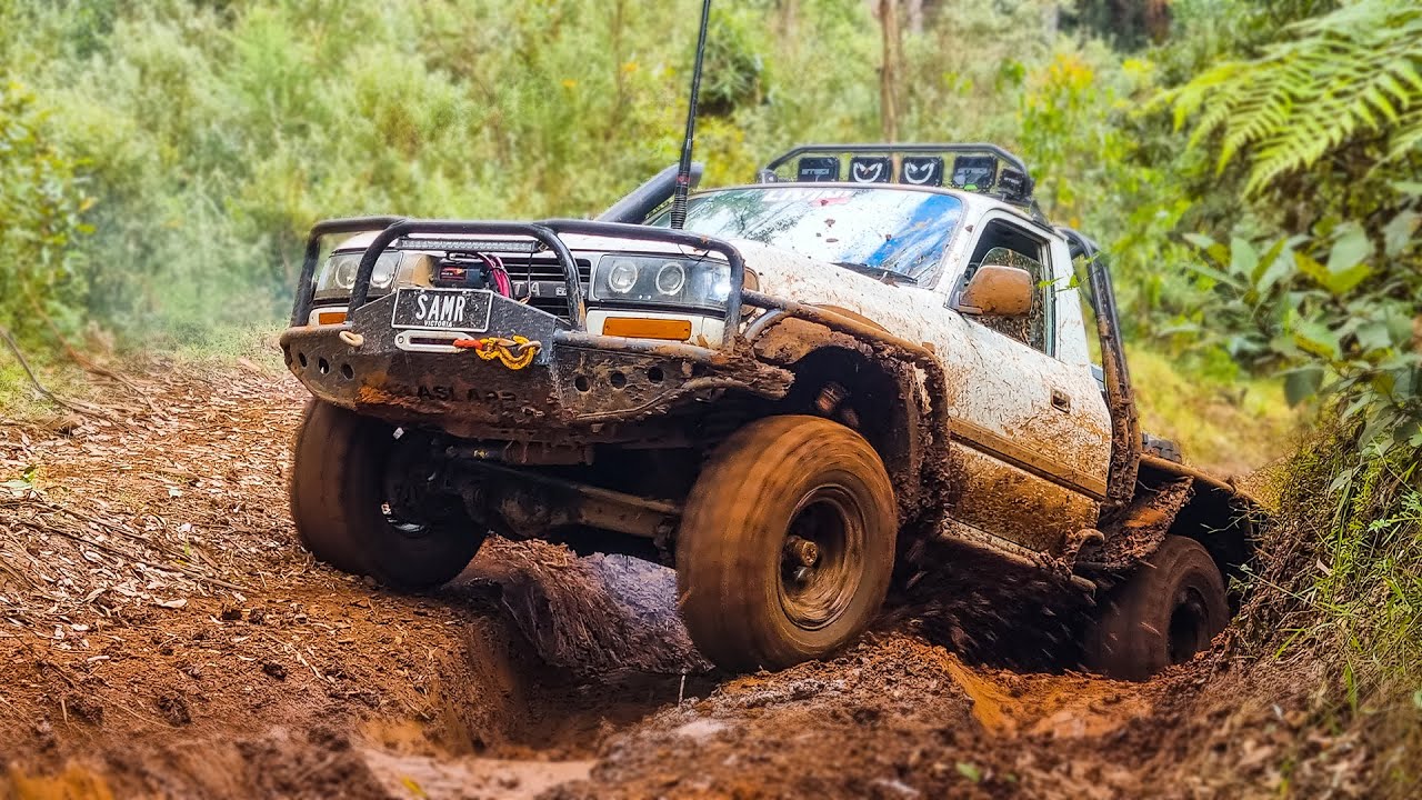 4WD Chopped 80 Series Dominates Again! Toolangi State Forest - Blowhard Track
