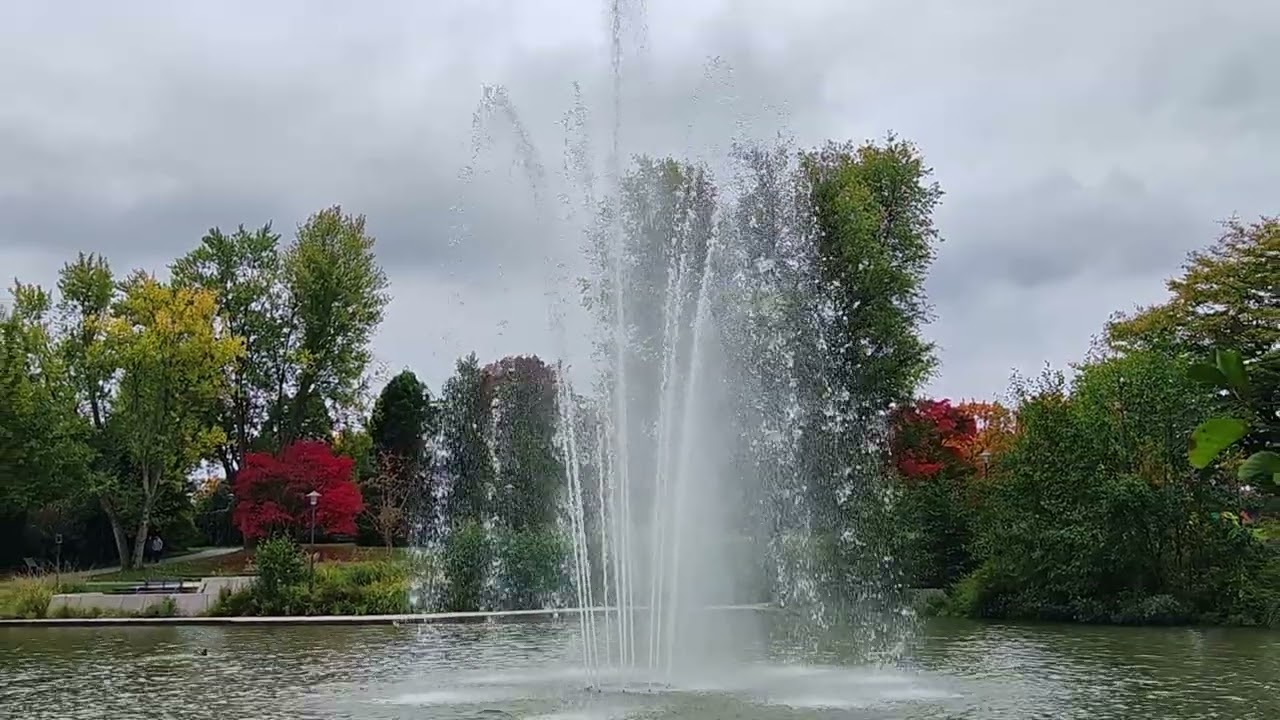 Autumn impressions  ( Осенние зарисовки )