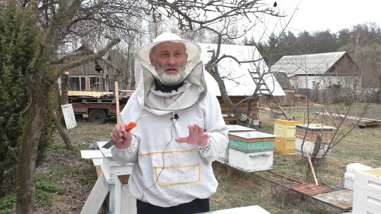 МАЙСКИЙ МЁД КАК ПОЛУЧИТЬ.