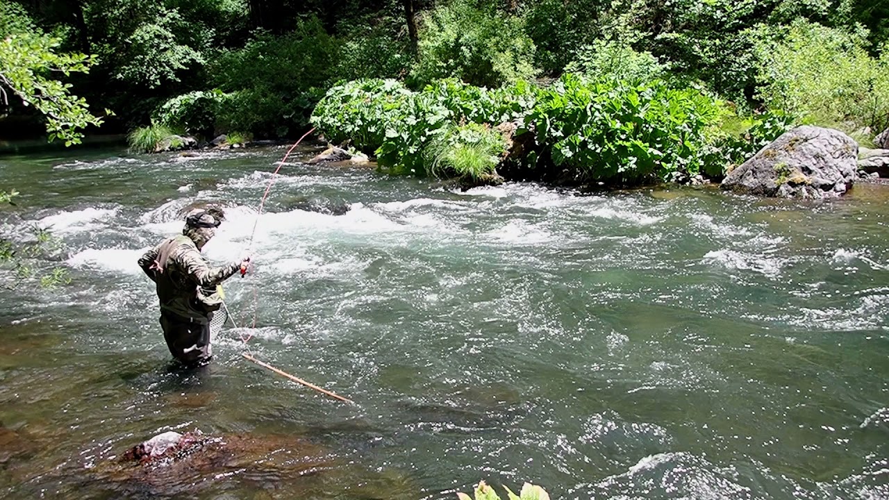 Fast-Water Nymphing On the McCloud River