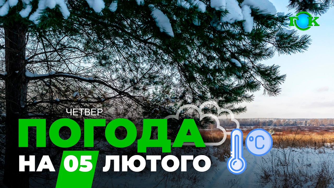 ⚠️ Різке похолодання і снігопади: якою буде погода в Україні 5 лютого