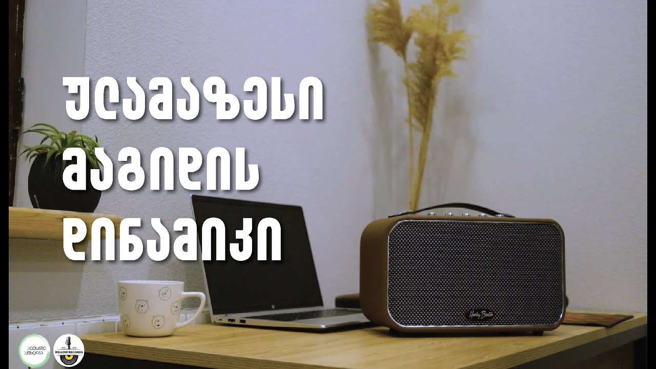 Marshall-ის დინამიკის ფული არ გაქვს?
