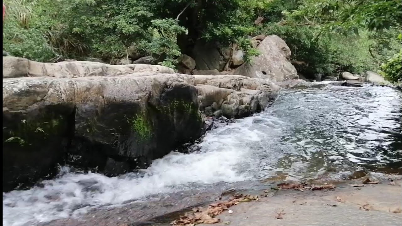 Serenity of Nature || Aries Balmoria