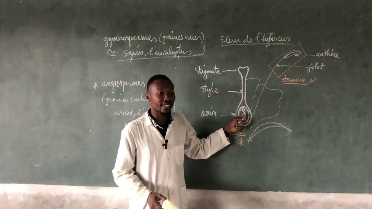 La reproduction chez les spermaphytes 