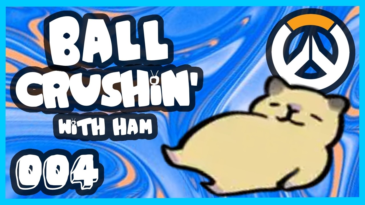 Can We Swap Rein? - Daily Ham 004