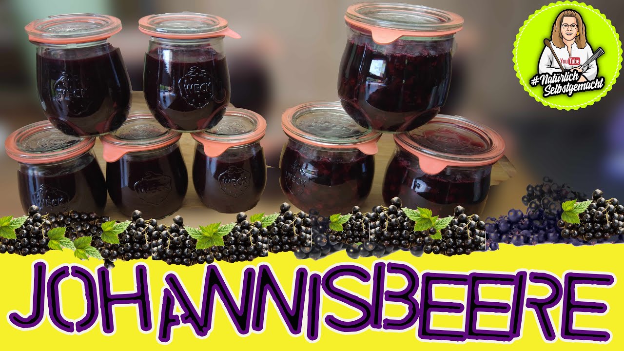 Samtiges Gelee und Beeren für Kuchen einkochen