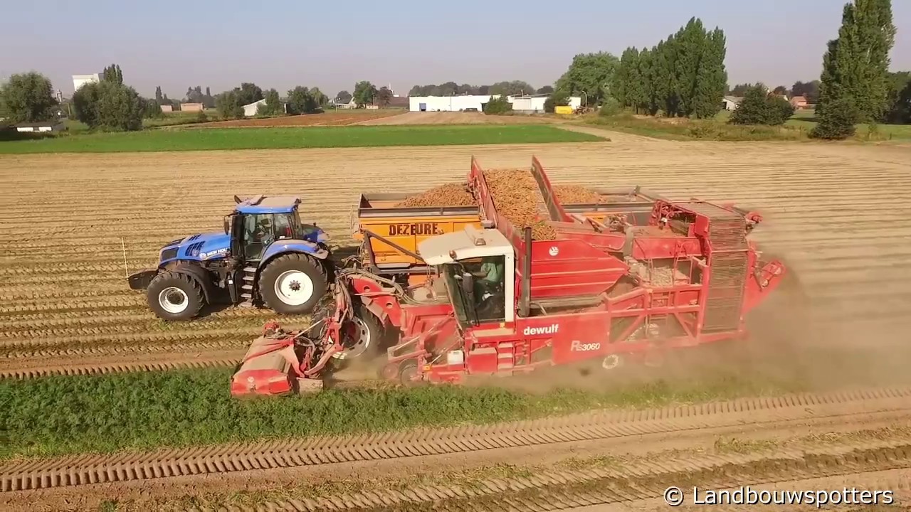 Wortels rooien 2016 - Dewulf RS3060 - Houthoofd uit Ardooie - DJI Phantom 3