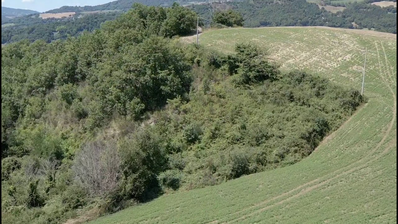 DIGA DI MERCATALE