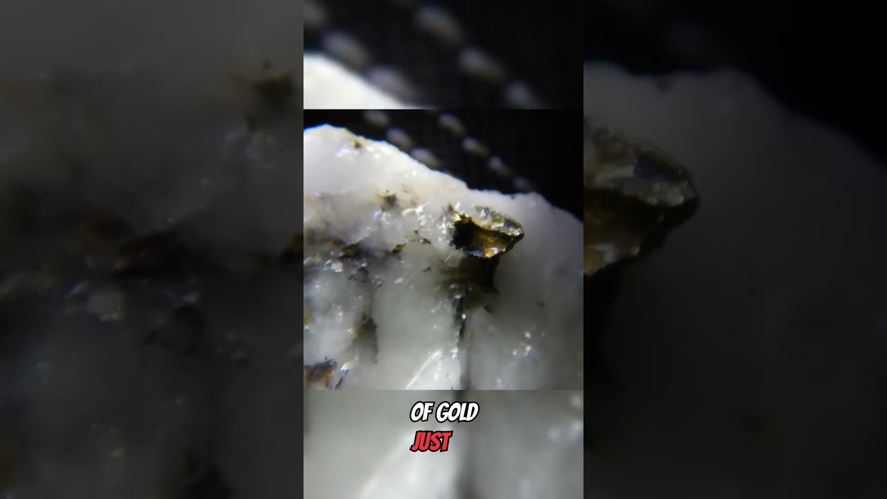 Discovering Super High-Grade Gold! #shorts
