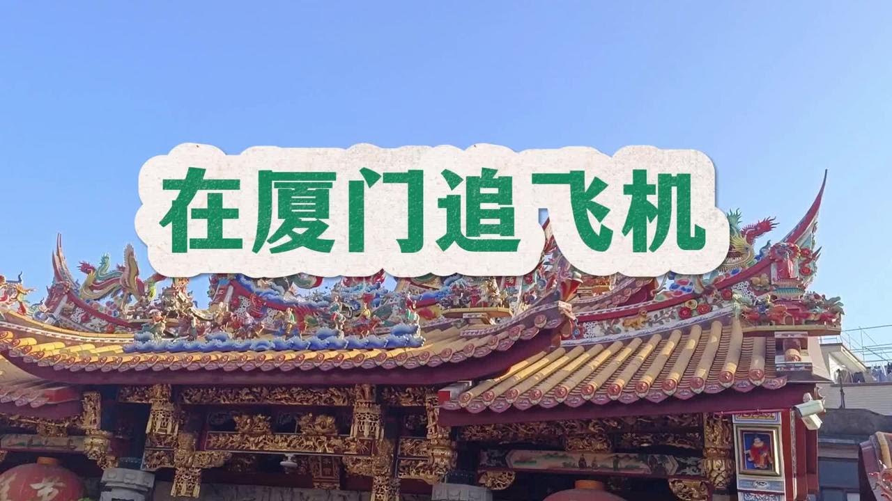自驾游进入厦门，未进热门景点，却选择去追飞机#旅游#厦门旅游