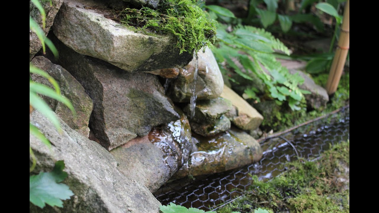 金魚水路Ⅲ、やすらぎの庭。苔の色、金魚と水音、