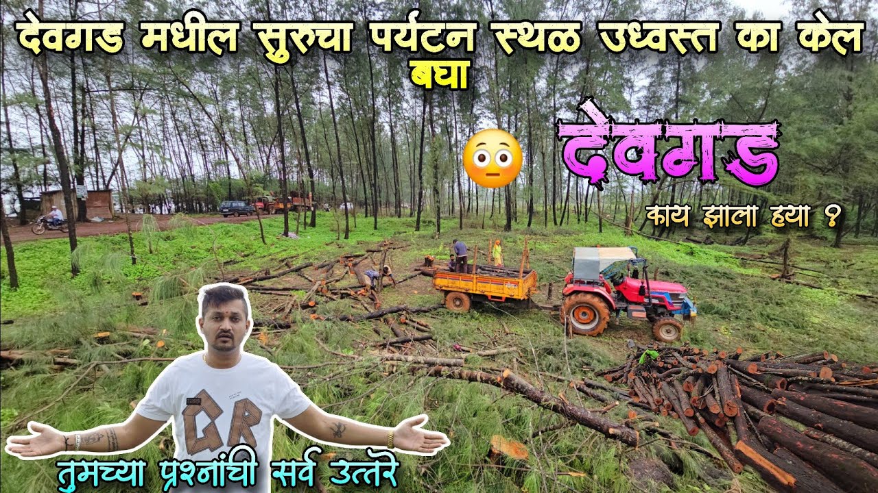 देवगड मध्ये नक्की सुरूच्या झाडांचा काय झाला 😳कशाक तोडल्यानी बघा 