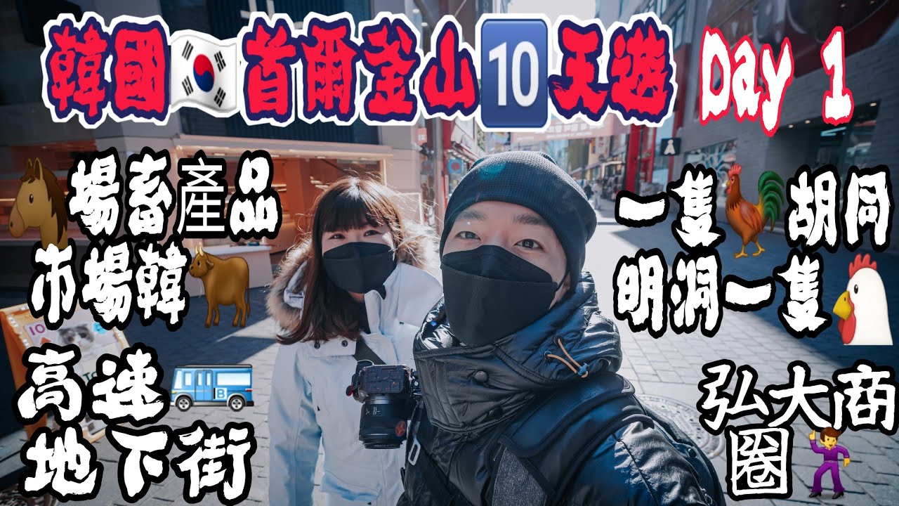 韓國🇰🇷首爾&釜山🔟天遊｜期待3年！再踏足🇰🇷土地｜L7首爾弘大酒店｜🐴場畜產品市場韓🐂｜一隻🐓胡同~明洞一隻🐔｜高速🚌地下街  Day 1
