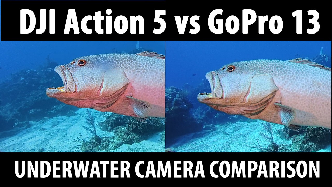 DJI Osmo Action 5 Pro vs GoPro - Underwater Comparison