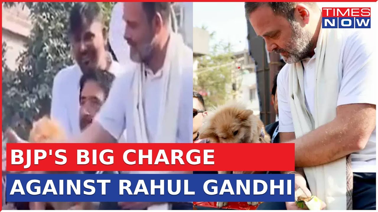 BJP Castigates Rahul Gandhi Over 'Dog Biscuit' Row; Claims Cadre Treated As 'Darbaris' |Top News