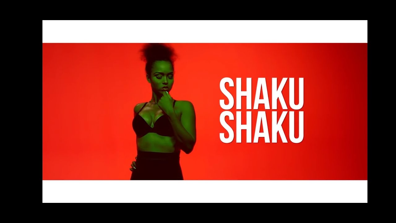 DJ Prince   Skaku Shaku Official Video ft Skales
