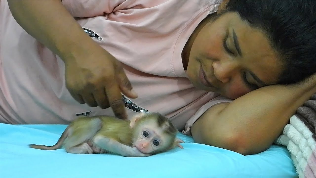 Tiny Valen Taking Nap After Happy Playing On Kid Sleeping Bag