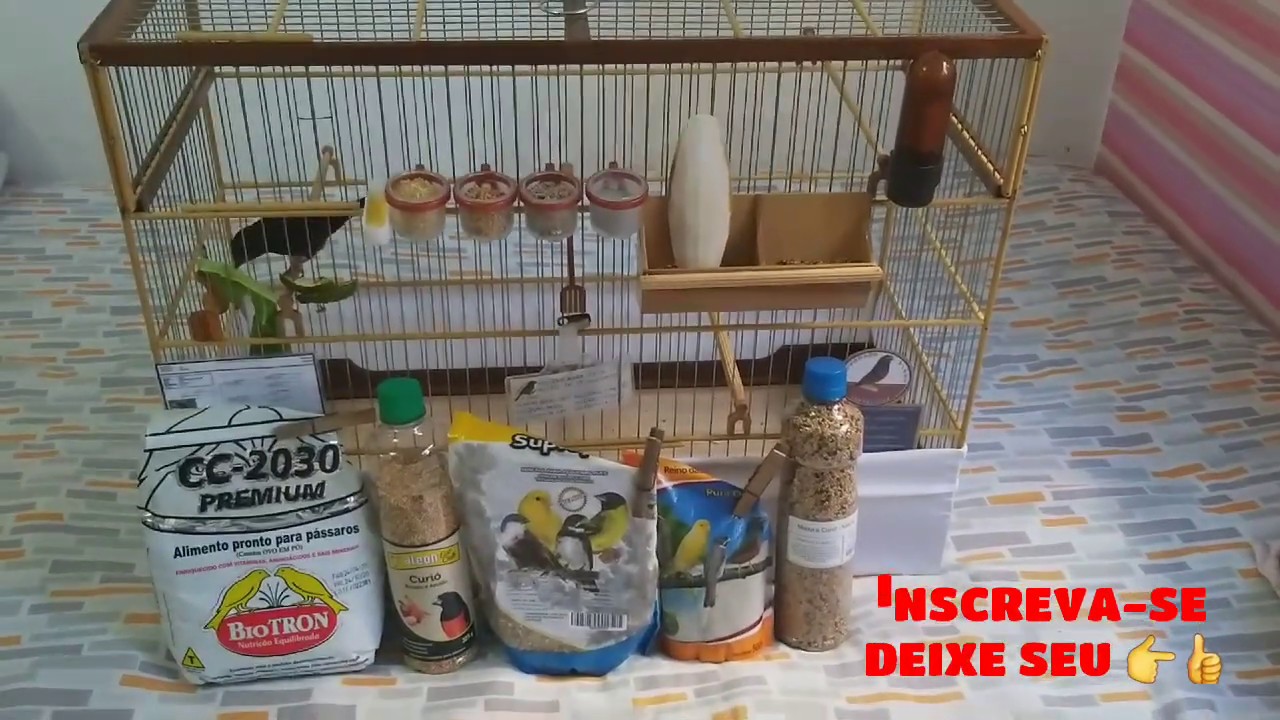 COMO PREPARAR UMA GAIOLA PARA CURIÓ