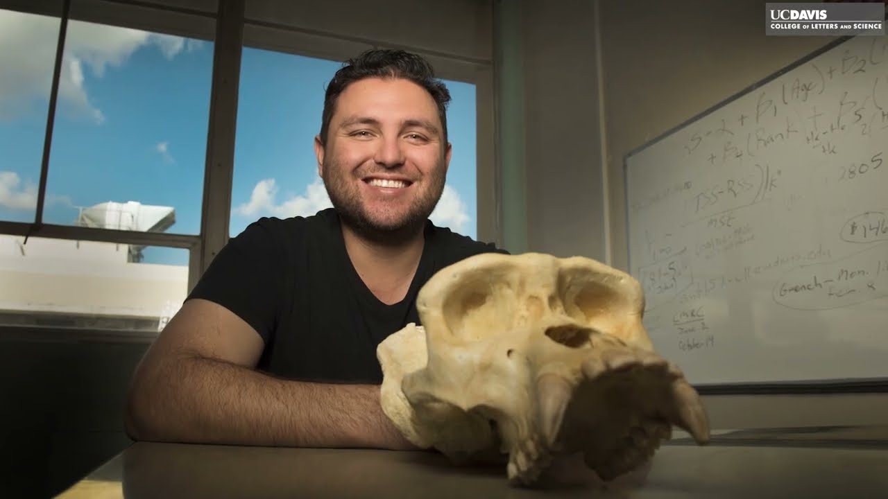 Majors in a Minute: Anthropology