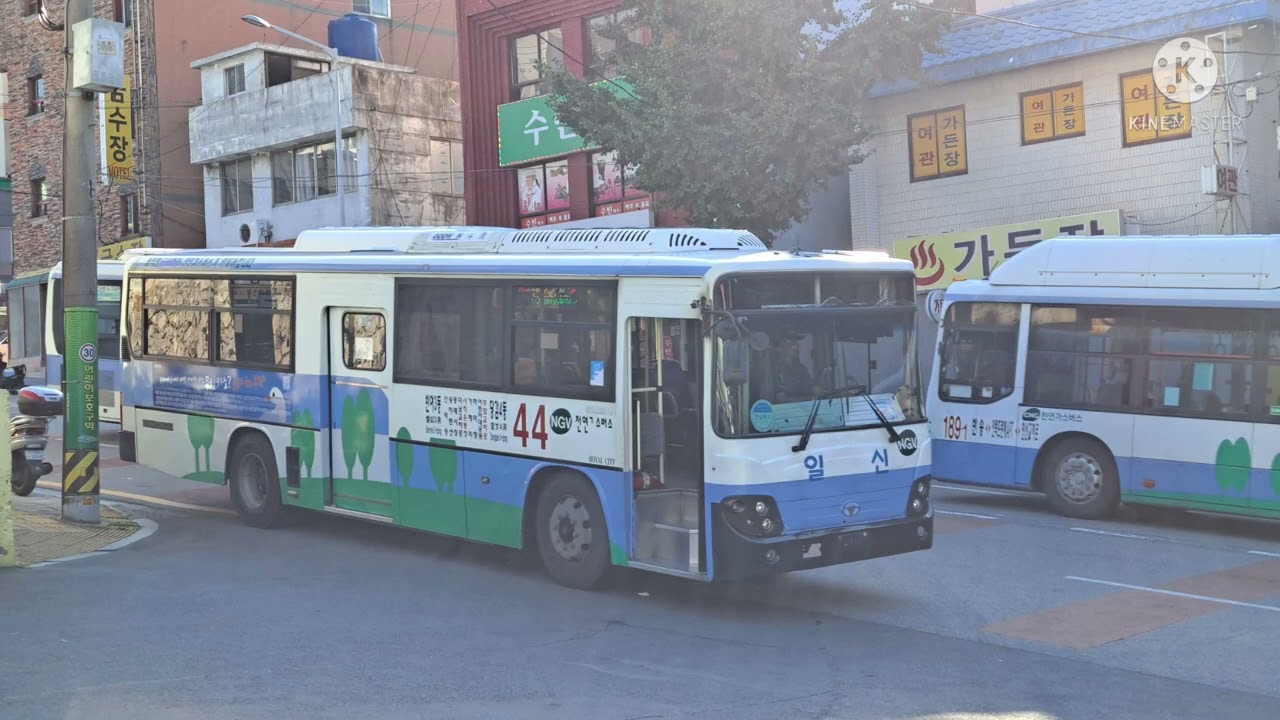 부산 시내버스 폐차차량 사진들 모음