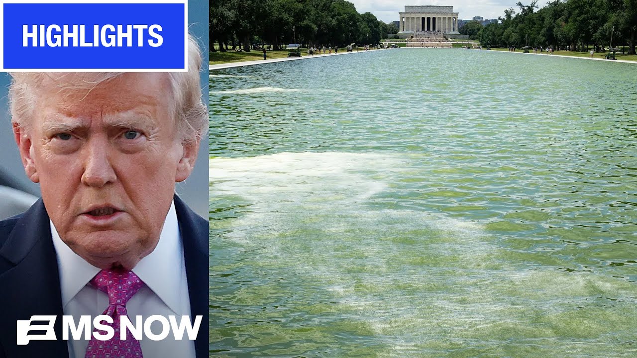 'Truly SHOCKING' Watch MS NOW's INSTANT REACTION to DOJ nixing Reflecting Pool case