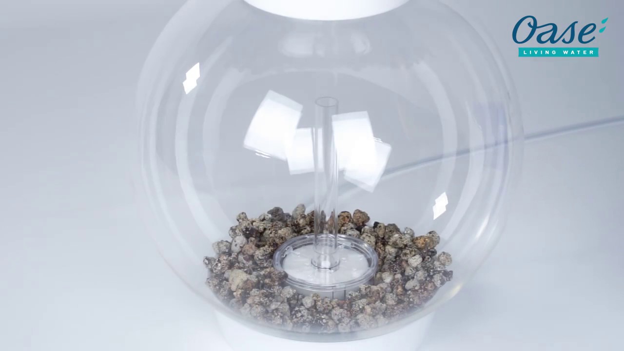 Oase biOrb 'Classic' Aquarium Set-up