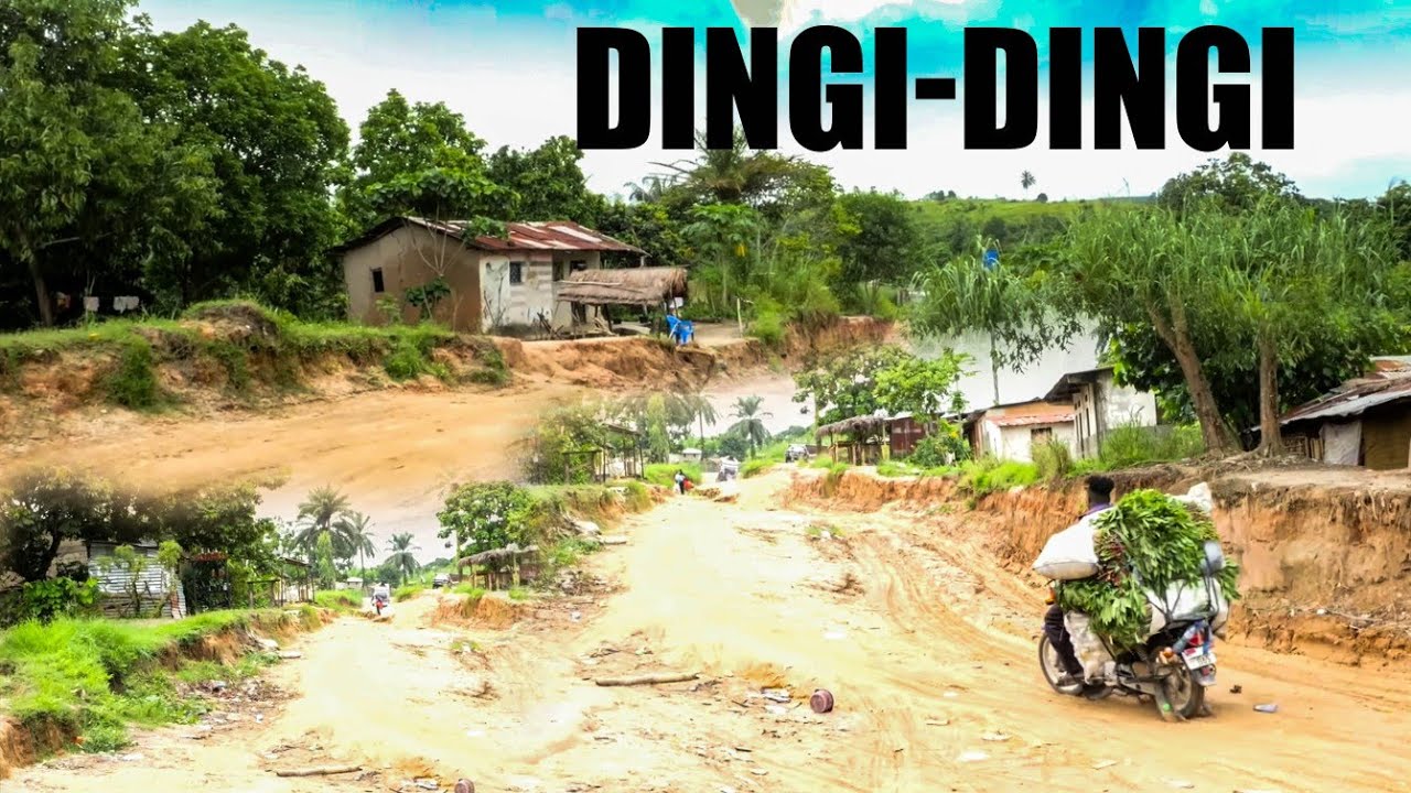 DÉCOUVERTE DINGI DINGI EST À KINSHASA; LE PORTAIL D’AFFAIRES DES DIASPORAS: AGRICULTURE, ÉLEVAGE…