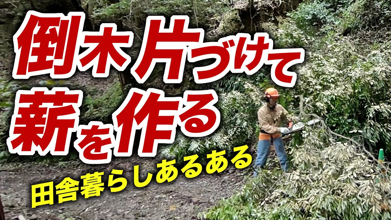 倒木処理して【薪】が増えた！