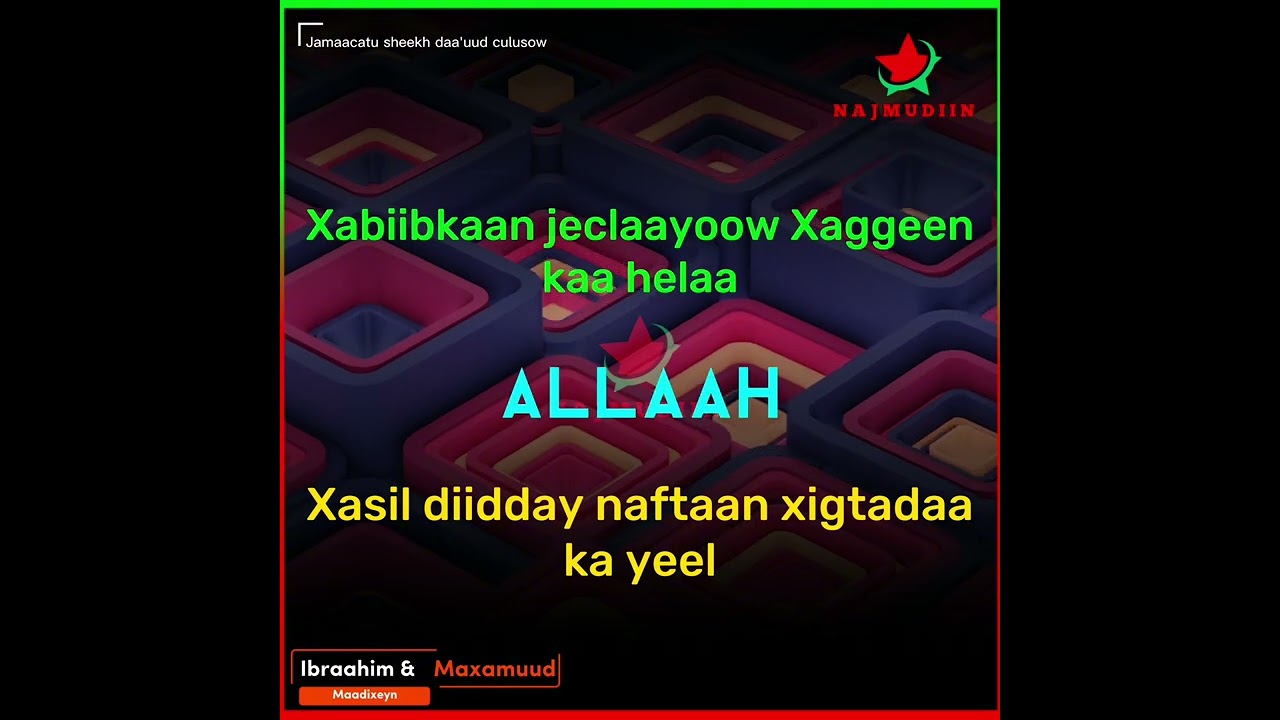 NABI AMAAN || محمّد بشر لاكالبشر
