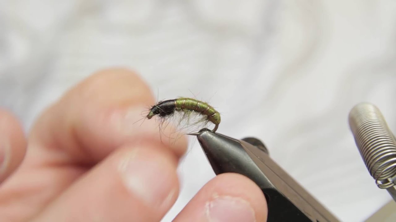 Larva de Tricoptero | Montajes The FlyCenter