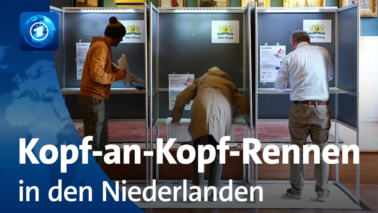 Parlamentswahl in den Niederlanden: Wilders und Linksliberale fast gleichauf