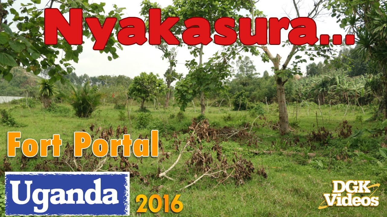 Nyakasura 2016