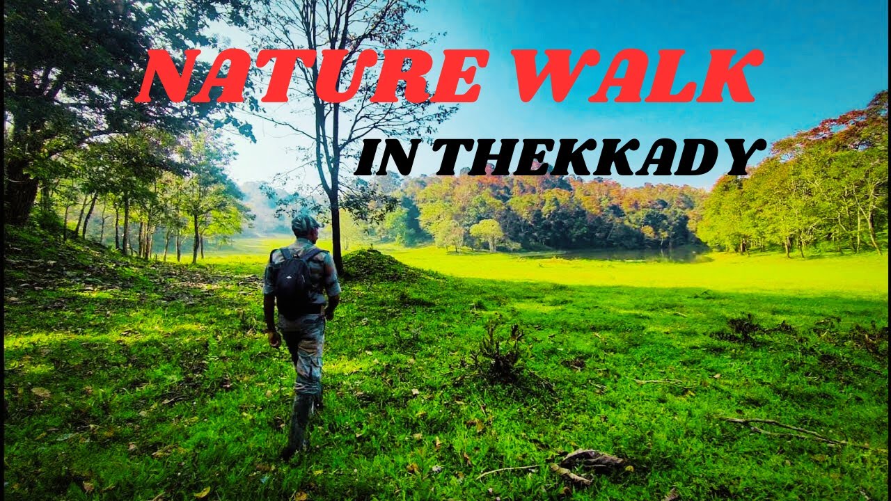THEKKADY NATURE WALK|PERIYAR TIGER RESERVE| KERALA TOURISM