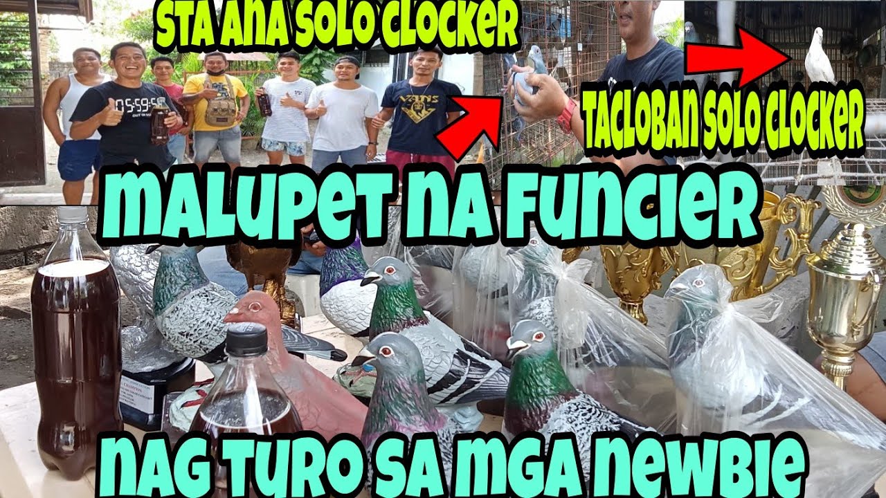 magaling na  funcier na interview ni POGS TV mmahaling ibon mga asa loft na nya lahat inported line