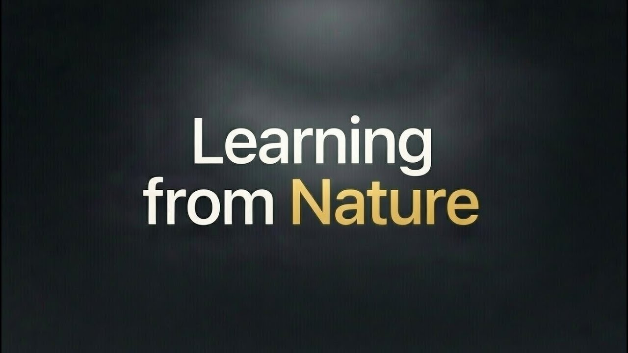 Learning From Nature |